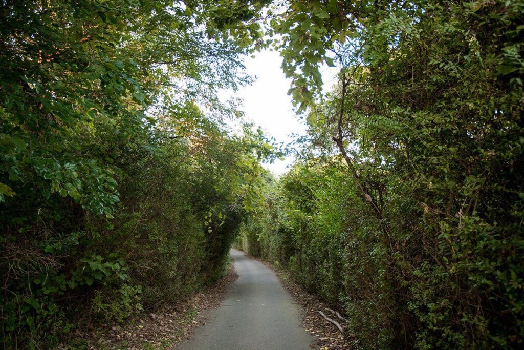 paved walking trail surrounded by trees located on the campus of an independent living community in New York • Peconic Landing