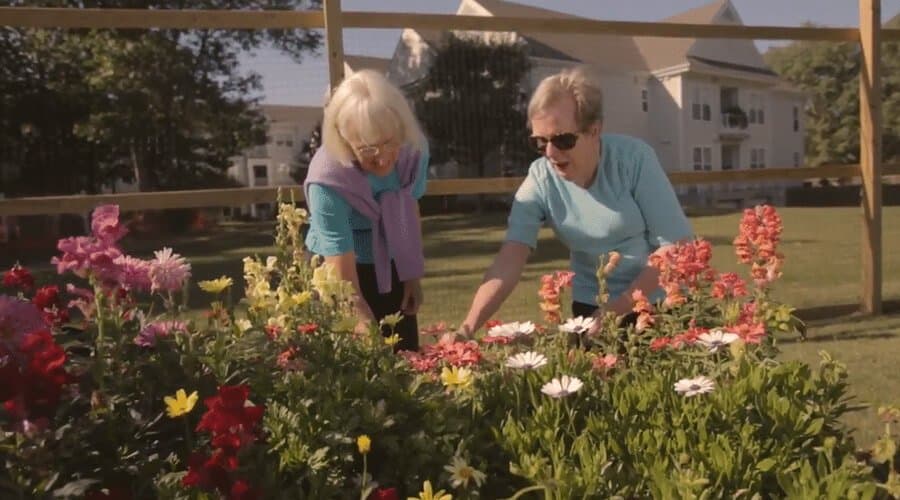 louisa gardening