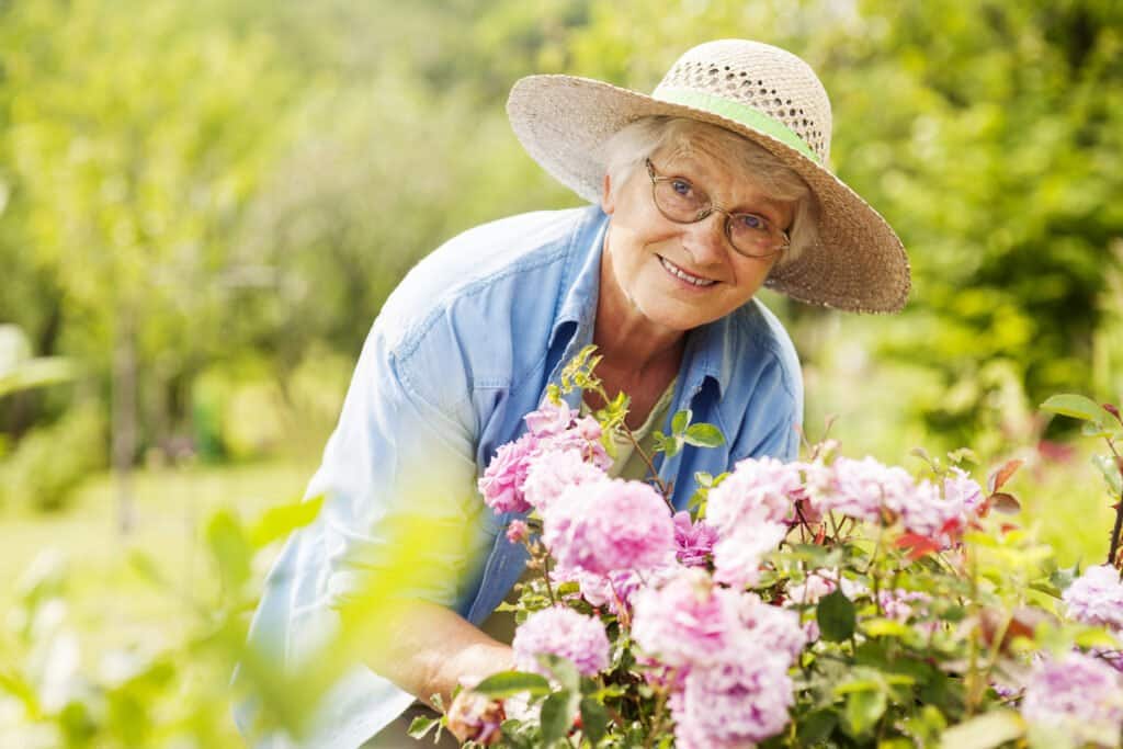 Community garden for growing seasonal vegetables, herbs, flowers, and more