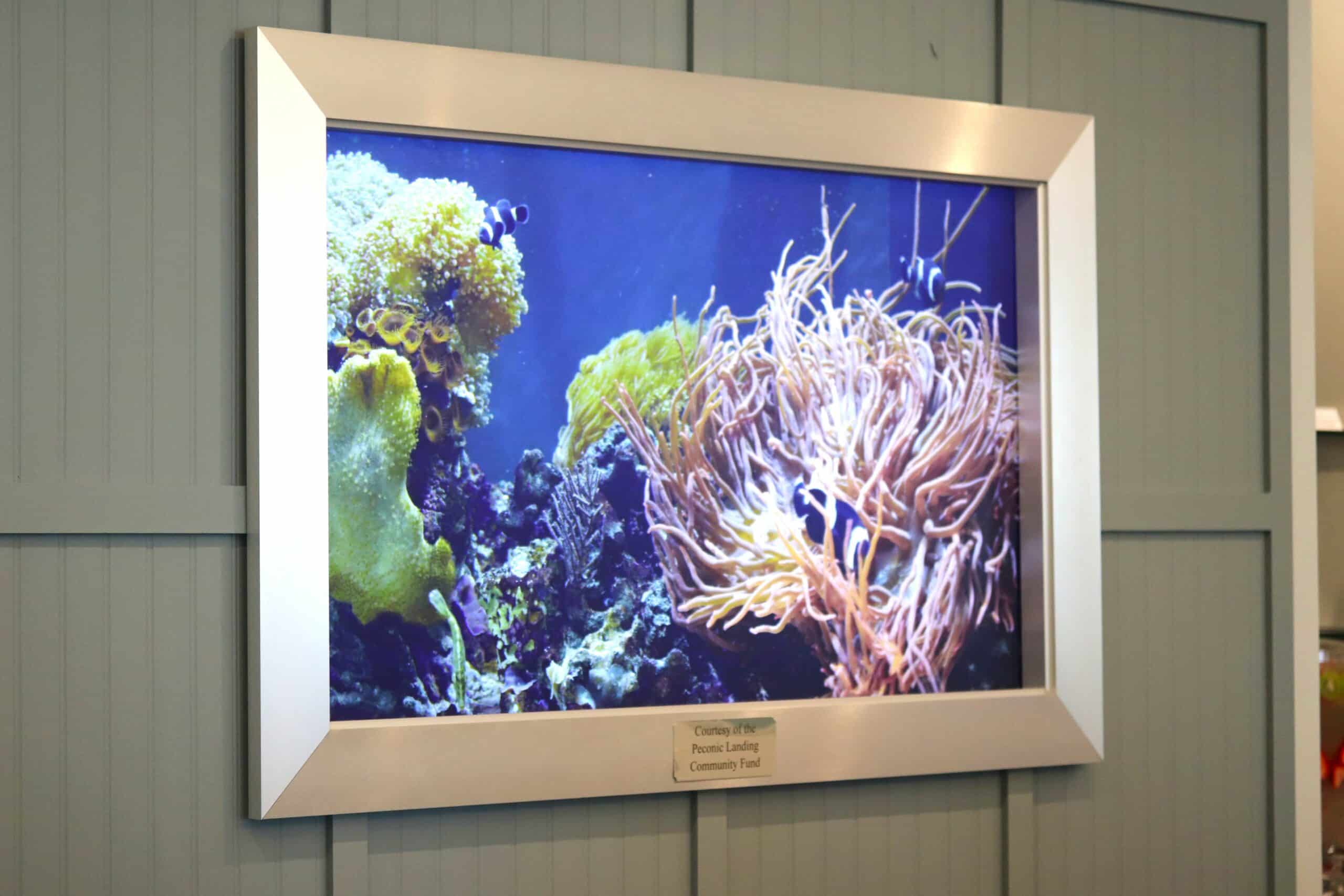 A virtual fishtank at Water's Edge donated by the Community Fund